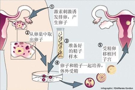 周启明 主任医师